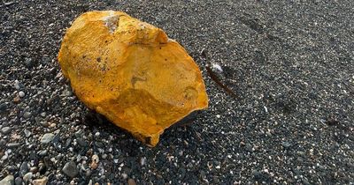Warning to dog walkers after toxic oil berg washes up on beach in Wales