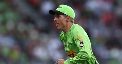 Toby Gray ready to seize his chance with Sydney Thunder in BBL