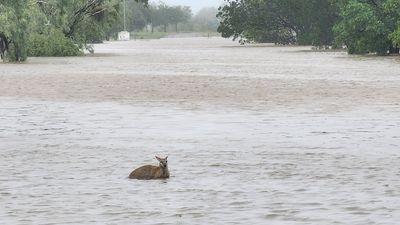 Australian Defence Force steps in as Kimberley's flood emergency intensifies