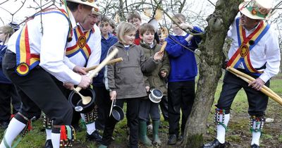 Where you can go Wassailing in and around Bristol this January