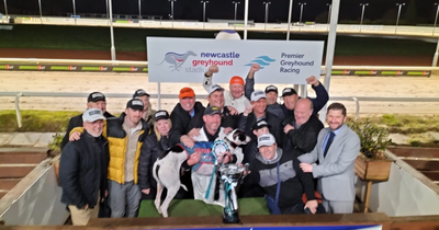 Greyhound bought in memory of Nottingham friend goes on to be national success