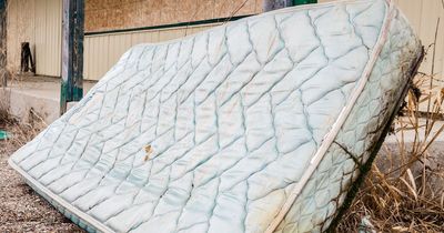 'Fake police' and cat urine-soaked mattresses among tenant complaints to tribunal