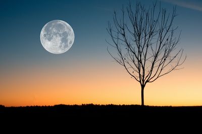 Full Moon calendar 2023: When to see our nearest celestial neighbor