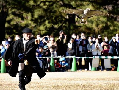 Falconry skills demonstrated in Tokyo