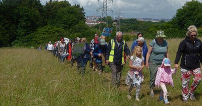 More than 7,000 petition city council to stop building on Bristol’s green spaces