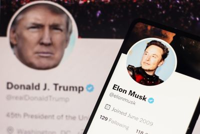 Who will be ‘foolish’ enough to take over Twitter? Here are the main runners for Musk's job
