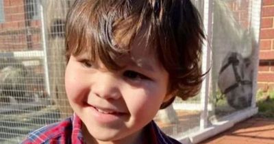 Boy, 3, dies in freak swimming pool accident as dad makes desperate plea to parents