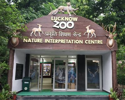UP Cities Grappling With Cold, Special Arrangements Made At Lucknow Zoo