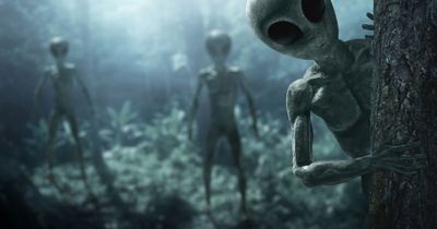 Aliens won't contact Earth because there's no sign of intelligence, study claims
