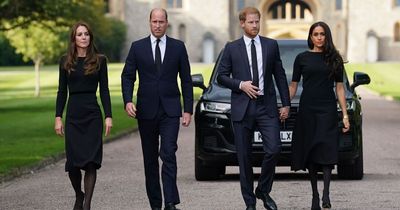 Seven times Prince Harry has been welcomed by royals despite claiming no 'reconciliation'