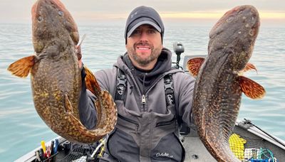 Besting the Indiana record for burbot, big time