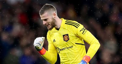 'It's going to end in a good way' - David de Gea gives update on new Manchester United contract