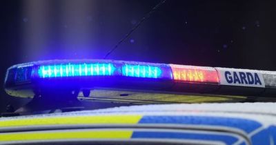 Cyclist receives multiple injuries following hit and run incident in Meath