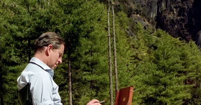 'King Charles is surprising us all'