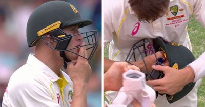 Marnus Labuschagne asks for cigarette lighter while batting during Australia vs SA Test