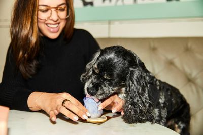 ‘Not for the human palate’: the fine dining cafe where dogs eat like royalty
