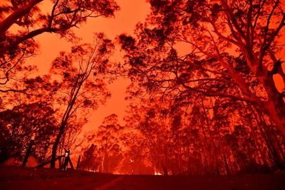 More than 2,400 lives will be lost to bushfires in Australia over a decade, experts predict