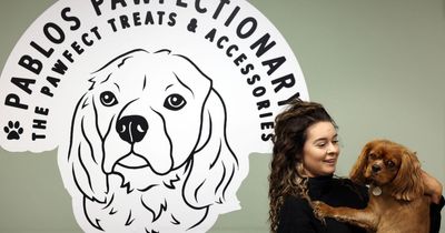 Whitley Bay dog store owner optimistic for the future after first successful festive period