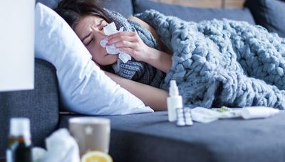 The common cold: everything you need to know, including how to treat it