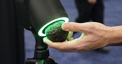 Tech inventions to kick off 2023 - from baby translator to avocado ripeness checker