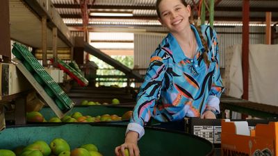 Queensland mango farmer encourages first-time fruit pickers, young people to fill labour shortages