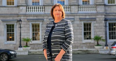 Horror as bag of excrement 'thrown' at junior minister Anne Rabbitte