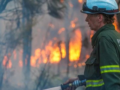 Fears ease over WA bushfire