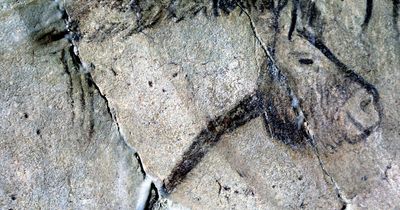 Durham University study shows Ice Age hunters used cave paintings to time animals' life cycles
