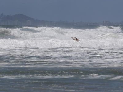 Warning amid deaths at unpatrolled beaches