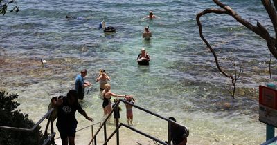 Port Stephens' best snorkelling spots