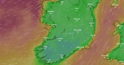 Dublin weather: Strong winds to batter the capital in grim low pressure system forecast