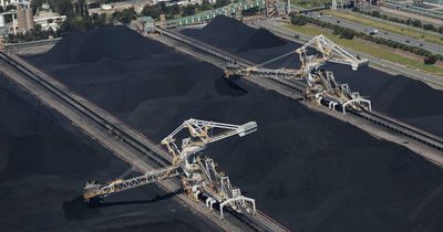Newcastle coal exports drop amid talk of China ban ending