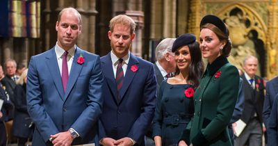 Prince Harry claims Prince William physically attacked him in leaked extract of book Spare