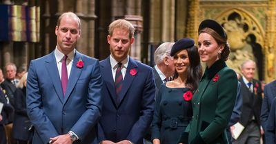 Meghan Markle's 'sad' reaction when she learnt of William's 'physical attack' on Harry