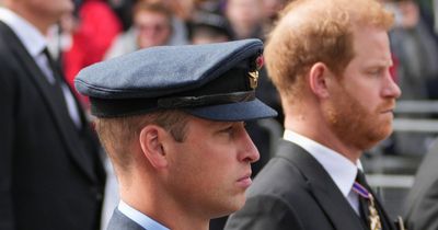 Prince Harry claims William attacked and threw him to the floor in new tell-all book
