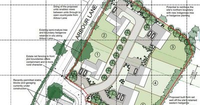 New residential development plan for green belt sparks anger from protestors