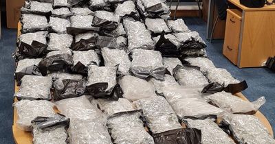 Gardai seize €1 million worth of cannabis in Louth raid as man arrested