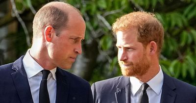 Prince William 'ordered plane to leave without Harry' as they rushed to see dying Queen
