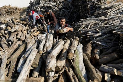 Gazans turns to firewood as energy prices soar
