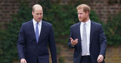 Prince William declines to comment after Harry claims he ATTACKED him