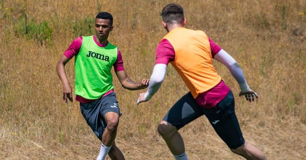 Morgan Whittaker and Plymouth Argyle were perfect match and Swansea City can reap benefits of 'excellent' loan