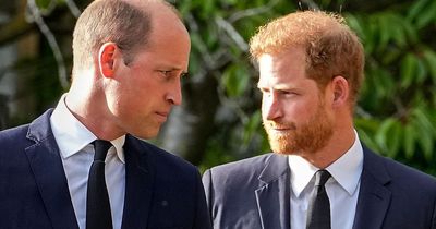 Prince Harry claims William branded Meghan 'rude and abrasive' in row