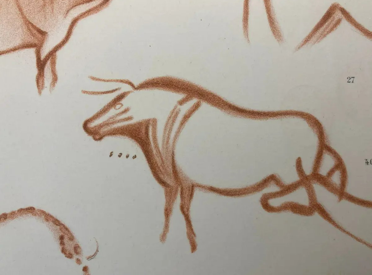 Mystery markings in 20,000-year-old drawings decoded…