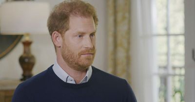 Prince Harry furiously denies invading William's privacy in brutal Tom Bradby grilling
