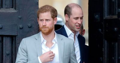 Prince Harry 'physically attacked' by Prince William in Meghan row, new book claims