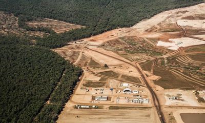 NSW forests could become net carbon emitters in coming decades, report finds