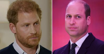Prince Harry takes savage swipe at William in new interview after leaked attack claims