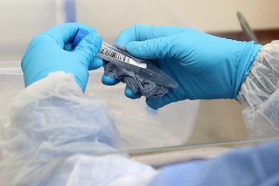 Science festivals and STEM initiatives across Scotland benefit from funding boost