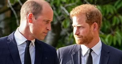 Prince William urged Harry not to tell Meghan Markle about fiery attack, new book claims