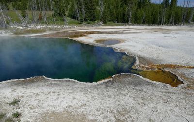 Small book of poems and cash found but mystery remains over foot in Yellowstone hot spring